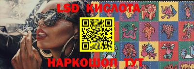 прущие грибы Донской