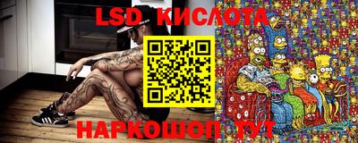 прущие грибы Донской